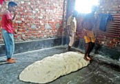 Lassa Shemai being produced in poultry farm