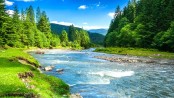 Disconnect with nature giving rise to mental illnesses in urban areas 