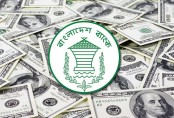 Remittance inflow increases by 8.06pc in 6 months
