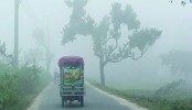 Cold wave likely in February’s first part
