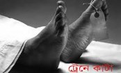 ট্রেনে কাটা পড়েছে অজ্ঞাত নারী 