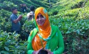 কবর থেকে তনুর লাশ তোলার নির্দেশ