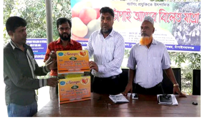 চাঁপাইনবাবগঞ্জের ফ্রুট ব্যাগিং প্রযুক্তির আম বিলেতে রপ্তানী শুরু