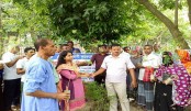 বাড়ির আশপাশে অনাদরে বেড়ে ওঠা সজিনা এখন আর ফেলনা নয়