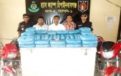 ৬৩ কেজি গাজাসহ তিন মাদক ব্যবসায়ী আটক 