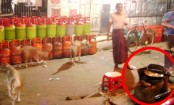 অবৈধভাবে বিক্রি হচ্ছে গ্যাসসহ তৈল  