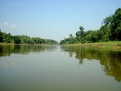 নদীতে গোসল করতে গিয়ে শিশু নিখোঁজ 