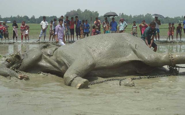 দুনিয়ার মায়া ত্যাগ করেন বঙ্গ বাহাদুর