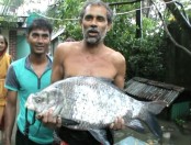 মাদারীপুরে ধরা পড়েছে সাড়ে ৮ কেজি ওজনের কাতঁলা