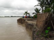 ‘মধুমতি নদীগর্ভে বিলীন ত্রিশটি বসতবাড় ‘