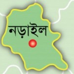 এইচএসসির ফলাফল শীর্ষে নড়াইলের শিমুলিয়া কলেজ 