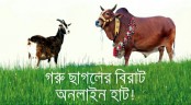 অনলাইনে জমছে পশুর হাট