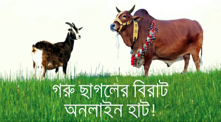 অনলাইনে জমছে পশুর হাট