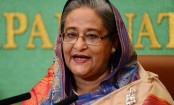 গণতন্ত্র পুনঃপ্রতিষ্ঠায় ১০ নভেম্বর গুরুত্বপূর্ণ দিন: শেখ হাসিনা
