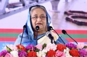 বিএনপির ৭ আসন পাওয়ার কারণ বিদেশিদের বললেন হাসিনা
