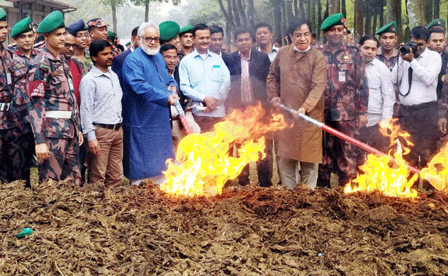 কুমিল্লায় ২৫ কোটি টাকার মাদক ধ্বংস করেছে বিজিবি
