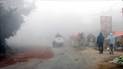 মাঘে রাজধানী ছেড়ে পালিয়েছে শীত
