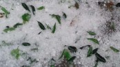 কমবে তাপমাত্রা, হতে পারে শিলা বৃষ্টি
