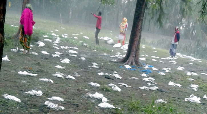 দুই রাতের ঝড়-বৃষ্টিতে কয়েক হাজার পাখির মৃত্যু
