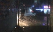 রাজধানীতে প্রশান্তির বৃষ্টি
