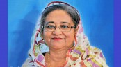 দ্বিতীয় মেঘনা ও গোমতী সেতু উদ্বোধন করলেন প্রধানমন্ত্রী
