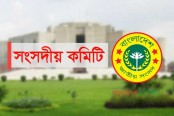 মশা মারার ওষুধ দ্রুত আমদানির সুপারিশ
