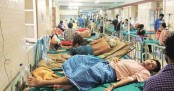 ঢাকার বাইরে ডেঙ্গু রোগী বাড়ছে