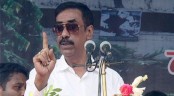 পুলিশ-ডাক্তার সবাই এখন আ.লীগ: শামীম ওসমান