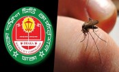 মশা মারতে বাজেট দ্বিগুন করলো ডিএসসিসি
