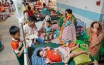 ডিএনসিসির ৩০৫৭ কোটি টাকার বাজেট ঘোষণা
