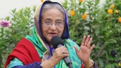আ. লীগ নেতাদের ‘কীর্তির’ ছবি-ভিডিও শেখ হাসিনার হাতে
