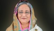 কৃষি জমি নষ্ট করে শিল্পকারখানা করতে দেয়া হবে না: প্রধানমন্ত্রী
