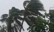 বুলবুল এখন নিম্নচাপ, সন্ধ্যা নাগাদ প্রভাবমুক্ত হবে দেশ
