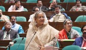 ‘৫০ হাজার মেট্রিক টন পেঁয়াজ আসবে’