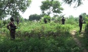 অনুপ্রবেশ ঠেকাতে সীমান্তে বাড়তি নিরাপত্তা