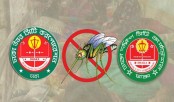 ডেঙ্গুতে টালমাটাল ছিল ঢাকার দুই সিটি করপোরেশন