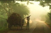 যশোরে শীতে জর্জরিত প্রাণ-প্রকৃতি
