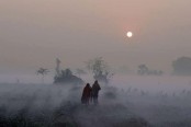 শীতের তীব্রতায় অতিষ্ট জনজীবন