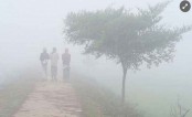 আজ শুরু হতে পারে আবারো শৈত্যপ্রবাহ