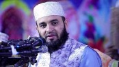 রাজনৈতিক দলের এজেন্ট, মুখ খুললেন আজহারী