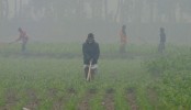 আবহাওয়া নিয়ে নতুন বার্তা
