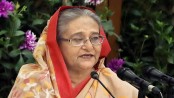 ‘সব ব্যথা চেপে রেখে দেশের জন্য দিনরাত কাজ করছি’