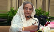 মশা যেন ভোট খেয়ে না ফেলে: প্রধানমন্ত্রী
