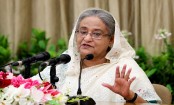 কৃষিজমির সুরক্ষা নিশ্চিত করেই শিল্পায়ন করতে হবে: প্রধানমন্ত্রী