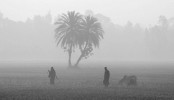 ১৭-১৮ ডিসেম্বর মৌসুমের প্রথম শৈত্যপ্রবাহ
