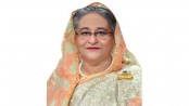 স্বাস্থ্য নির্দেশনা মেনে বিজয় দিবস উদ্‌যাপনের আহ্বান প্রধানমন্ত্রীর
