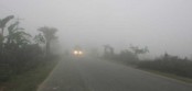 কুয়াশার চাদরে ঢাকা পড়েছে কালাই
