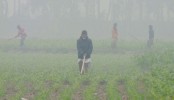 আসছে তীব্র শৈত্যপ্রবাহ
