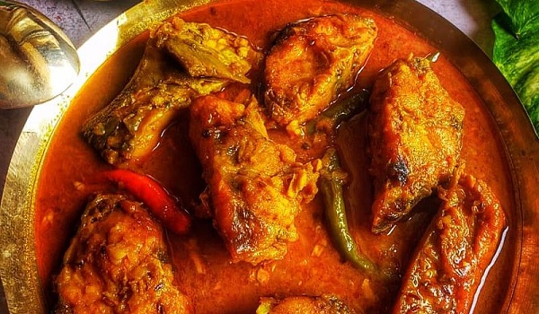 যেভাবে রান্না করবেন রুই মাছের কালিয়া
