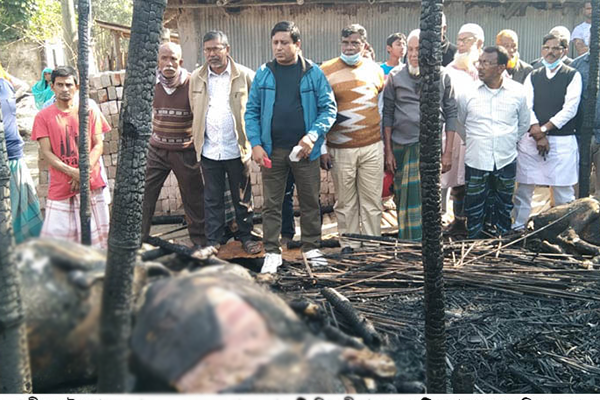 গরু-ছাগলের সাথে শত্রুতা, আগুনে পুড়িয়ে হত্যা!
